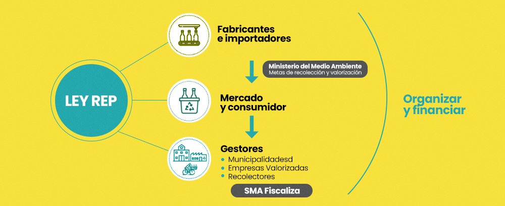 como_funciona_ley_rep